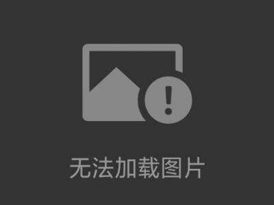 新品   THOMAS 托馬斯 恒溫設備過熱防止裝置